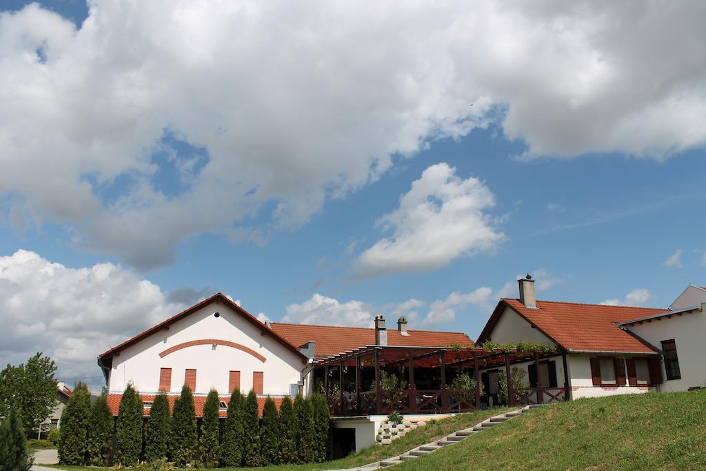 Tiffan'S Pinceszet Es Panzio Hotel Villány Eksteriør billede