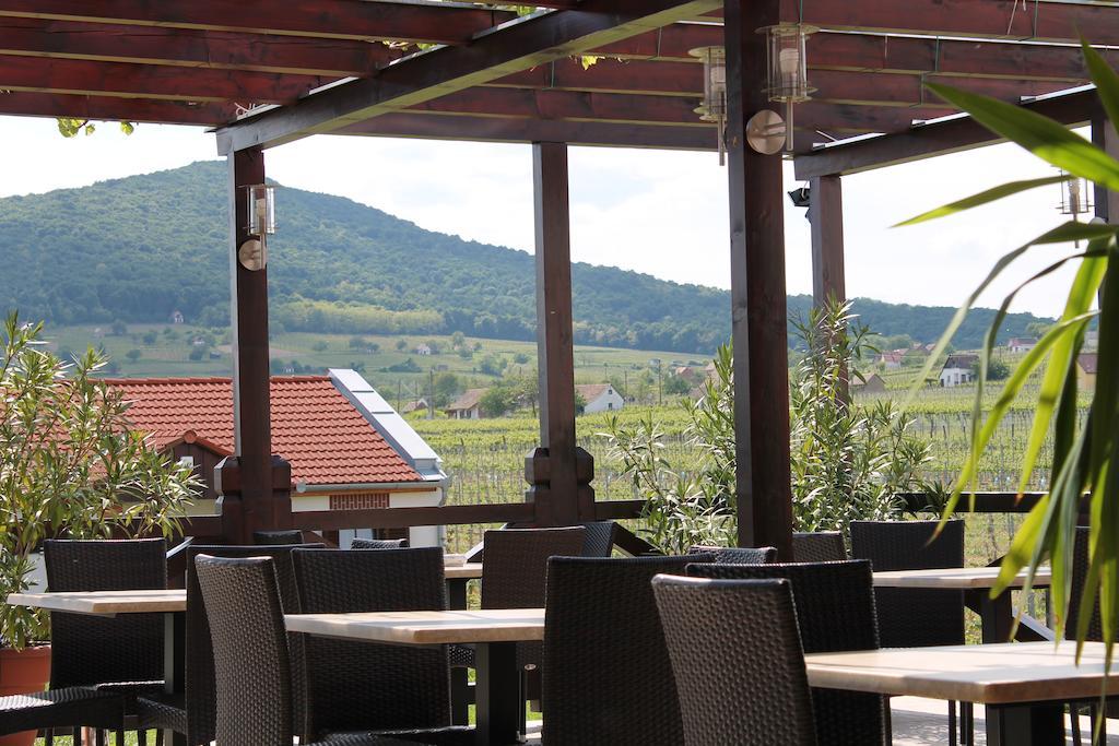 Tiffan'S Pinceszet Es Panzio Hotel Villány Eksteriør billede