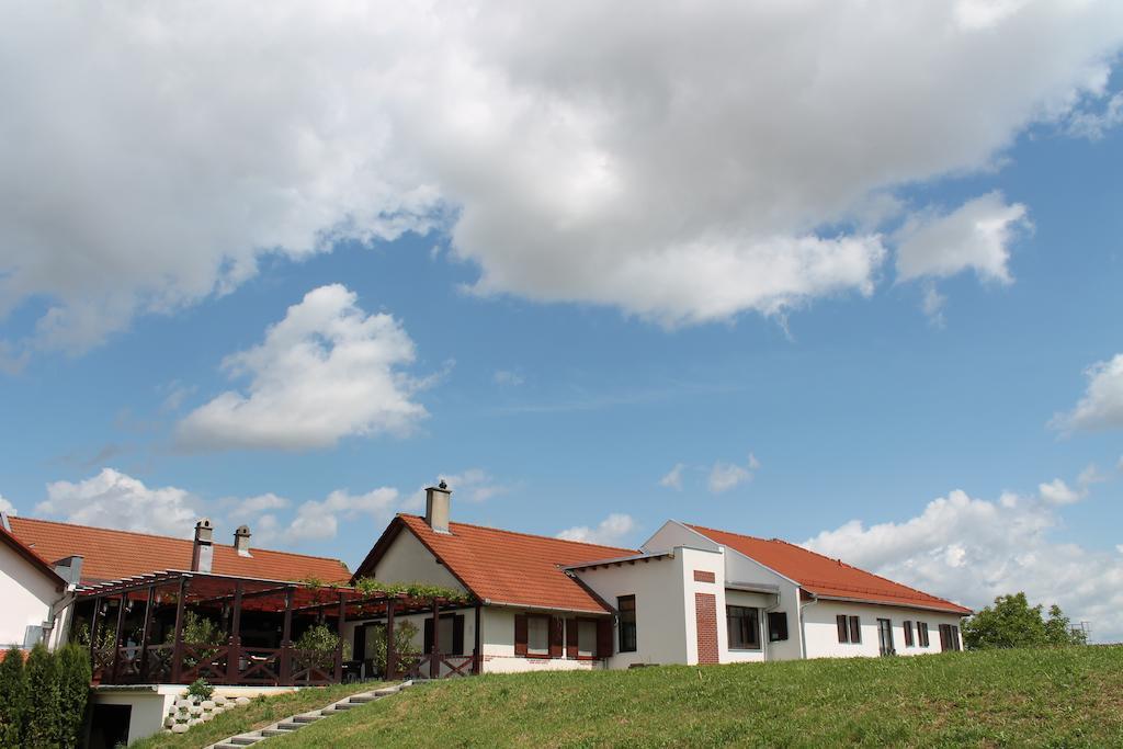 Tiffan'S Pinceszet Es Panzio Hotel Villány Eksteriør billede
